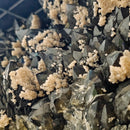 Calcite on Smoky Quartz - On Stand - Statement Specimen - Romania
