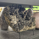 Calcite on Smoky Quartz - On Stand - Statement Specimen - Romania