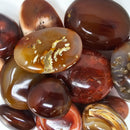 Carnelian - Palmstone