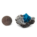 Cavansite with Quartz - Specimen