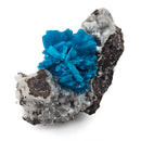 Cavansite with Quartz - Specimen