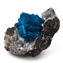 Cavansite with Quartz - Specimen