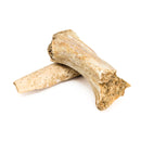 Cave Bear Bone Fragment - Fossil