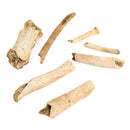 Cave Bear Bone Fragment - Fossil