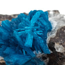 Cavansite with Quartz - Specimen