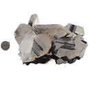 Mercedes Calcite (Chalcopyrite on Calcite) - Specimen