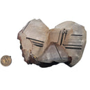 Mercedes Calcite (Chalcopyrite on Calcite) - Specimen