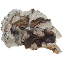 Mercedes Calcite (Chalcopyrite on Calcite) - Specimen