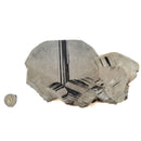 Mercedes Calcite (Chalcopyrite on Calcite) - Specimen