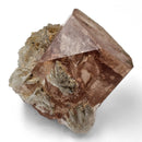 Champagne Topaz - Specimen