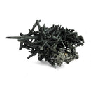 Chlorite Quartz - Specimen