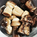 Chocolate Calcite Mushroom - Carving