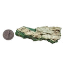 Chrysoprase - Rough - Tanzania