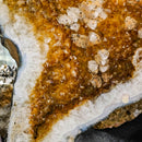Citrine - Butterfly Geode on Stand - Statement Specimen