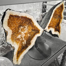 Citrine - Butterfly Geode on Stand - Statement Specimen