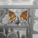 Citrine - Butterfly Geode on Stand - Statement Specimen