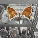 Citrine - Butterfly Geode on Stand - Statement Specimen
