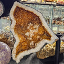 Citrine - Butterfly Geode on Stand - Statement Specimen
