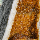 Citrine - Butterfly Geode on Stand - Statement Specimen