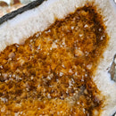Citrine - Butterfly Geode on Stand - Statement Specimen
