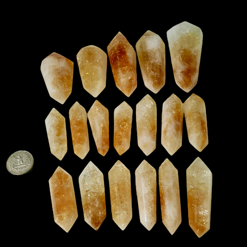 Citrine - Vogel Wand