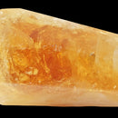 Citrine - Vogel Wand