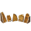 Citrine Druze - A Grade - Cut Base - Mineral Specimen - Brazil - Sacral Chakra