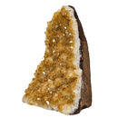 Citrine Druze - A Grade - Cut Base - Mineral Specimen - Brazil - Sacral Chakra