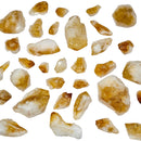 Citrine Dragon Tooth - Mineral - Brazil - Solar Plexus Chakra