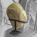Citrine with Calcite - Polished Druze Freeform - Statement Specimen