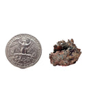 Copper on Matrix - Mineral - Arizona, USA - Root and Sacral Chakra