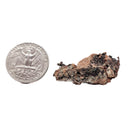 Copper on Matrix - Mineral - Arizona, USA - Root and Sacral Chakra