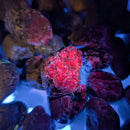 Corrundum (Placer) - Mineral