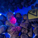 Corrundum (Placer) - Mineral