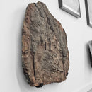 Crinoid - Mortality Plate - Wall Mount - Fossil Statement Specimen