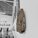 Crinoid - Mortality Plate - Wall Mount - Fossil Statement Specimen