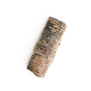 Crinoid Stem Fragment - Fossil