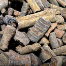 Crinoid Stem Fragment - Fossil