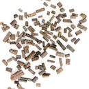 Crinoid Stem Fragment - Fossil