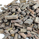 Crinoid Stem Fragment - Fossil