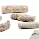 Crinoid Stem Fragment - Fossil