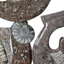 Crinoid with Orthoceras and Ammonite - Plaque - Fossil - Morocco - Devonian Era