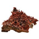 Crocoite - Specimen
