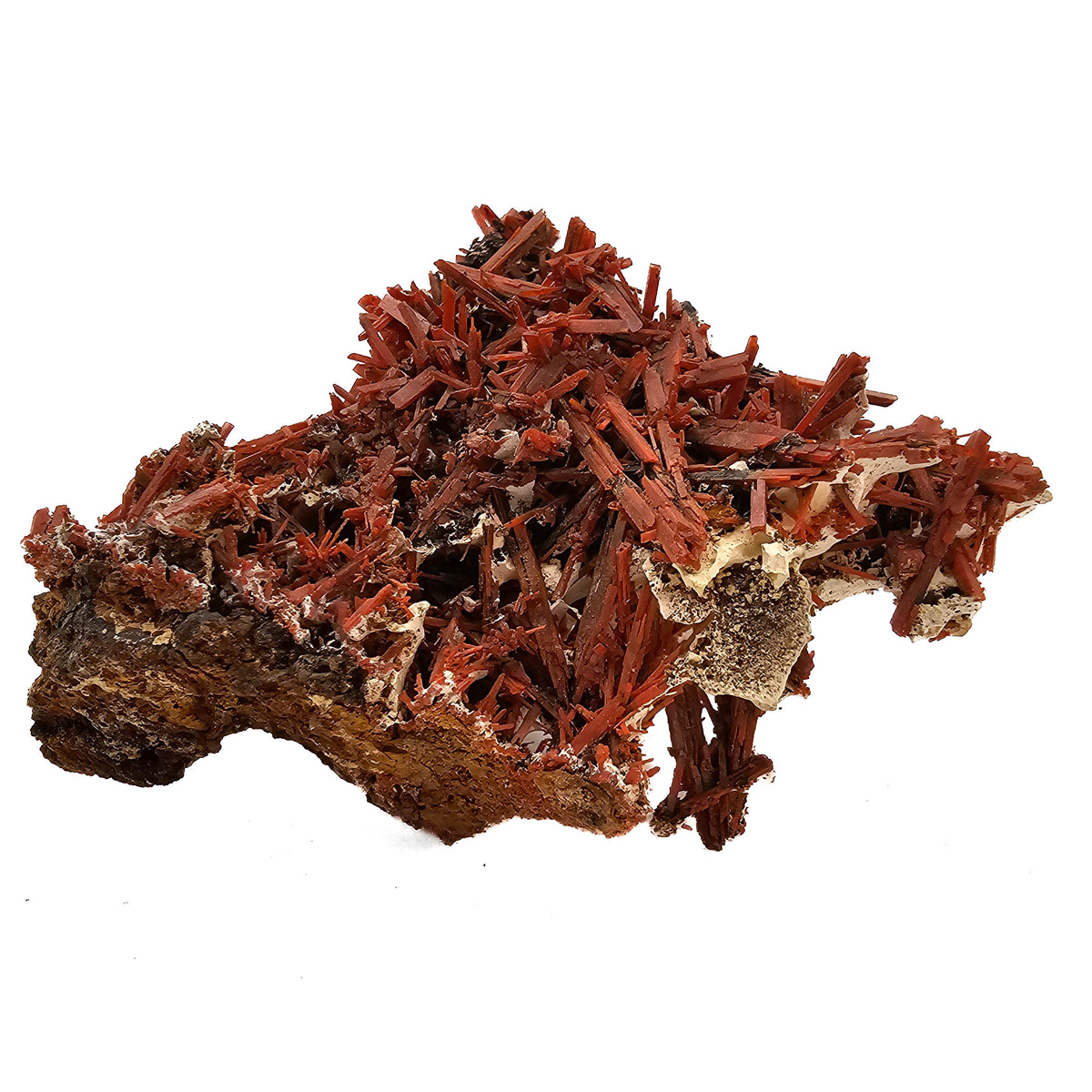 Crocoite specimen from Adelaide Mine, Dundas, Tasmania, Australia.