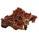 Crocoite - Specimen