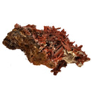 Crocoite - Specimen