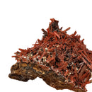Crocoite - Specimen