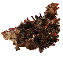 Crocoite - Specimen