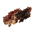 Crocoite - Specimen
