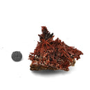 Crocoite - Specimen